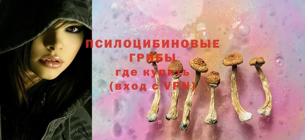 ECSTASY Бронницы