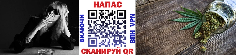 Каннабис планчик  Гвардейск 
